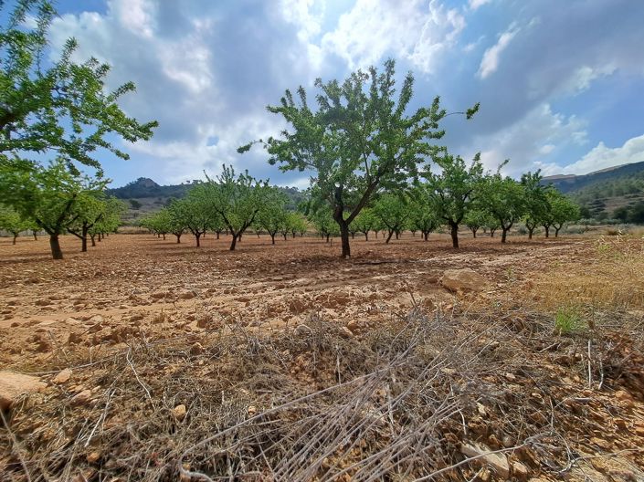 Image No.4-Land for sale