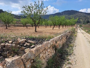 3364nicebuildingplotwithamazingviews250523130