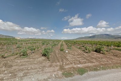 3518buildingplotjustoutsidepinoso060324175945