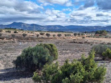 3507beautifulpieceoflandinsalinas270224144950