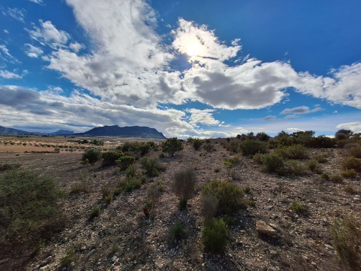 Image No.2-Land for sale