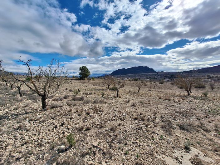 Image No.20-Land for sale