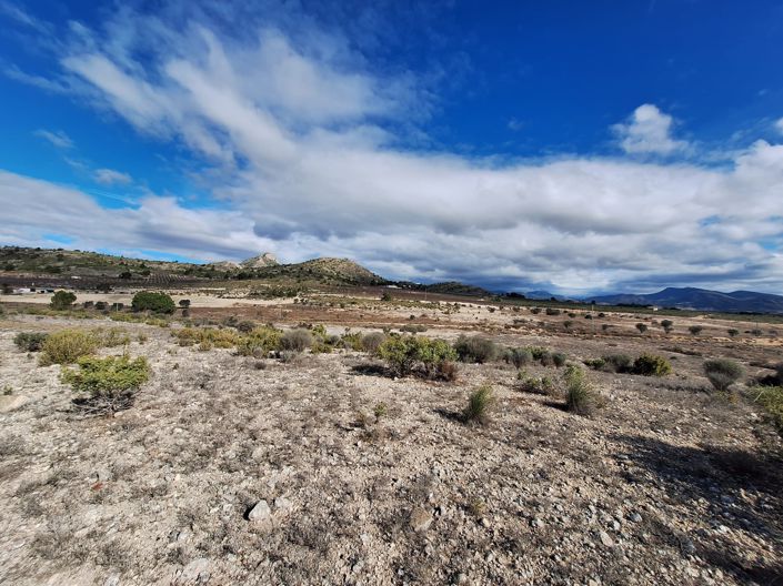 Image No.28-Land for sale