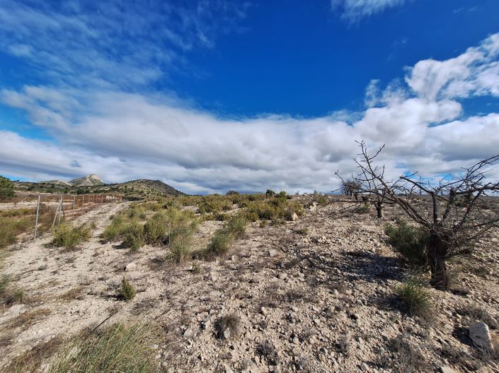 Image No.30-Land for sale