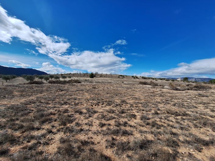 Image No.5-Land for sale