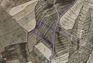 3293buildingplotinlel1210223135518screenshot2