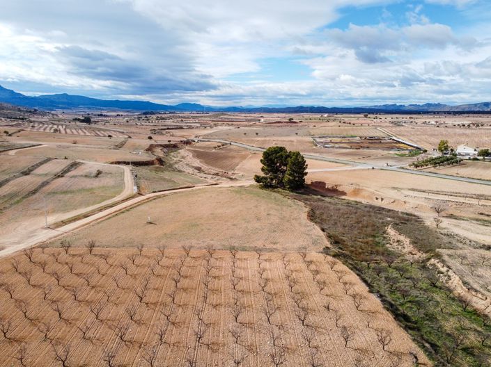 Image No.5-Terre à vendre à Torre del Rico