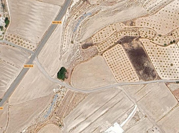 Image No.6-Terre à vendre à Torre del Rico