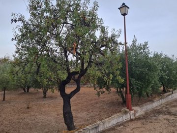 3961detachedvillaontheedgeoflassalinetaspetre