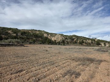 39603plotsinencebras1302261240045d21c13719df4