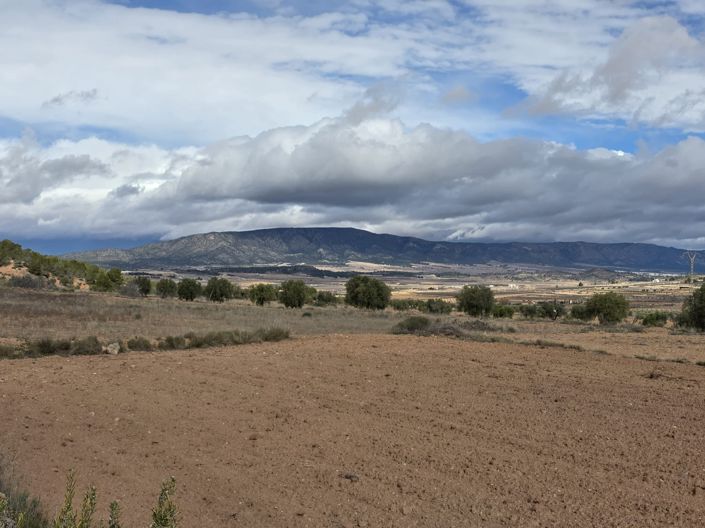 Image No.4-Terre à vendre à Encebras