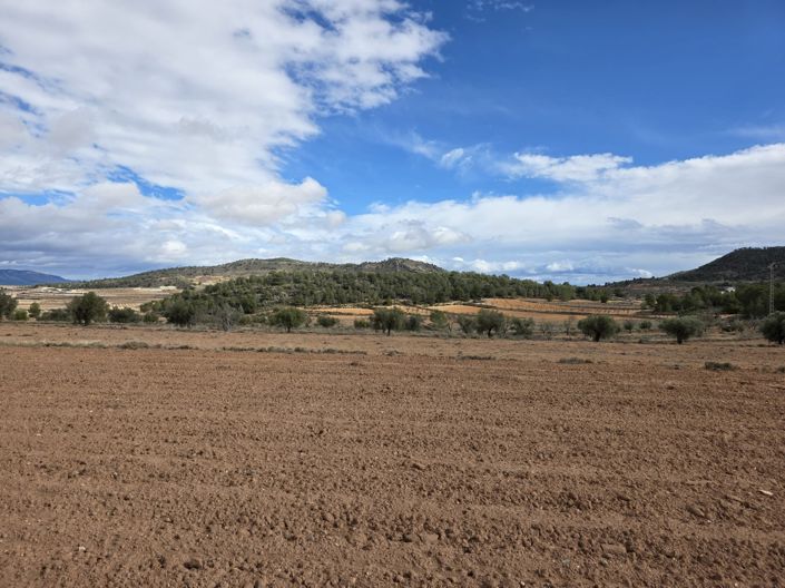 Image No.6-Terre à vendre à Encebras