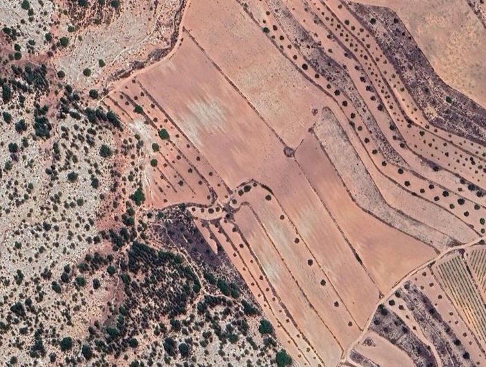 Image No.8-Terre à vendre à Encebras