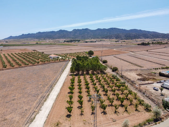 Image No.7-3 Bed Country House for sale