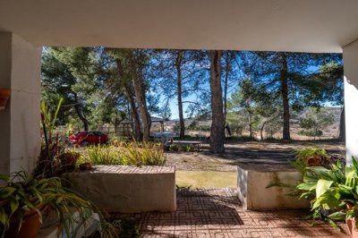 3966elmiradorcavehouse110226130503cf329610