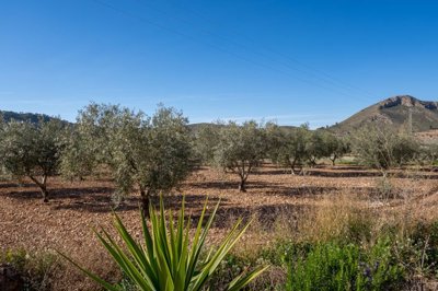 3971casanatividad260226124833cf330522