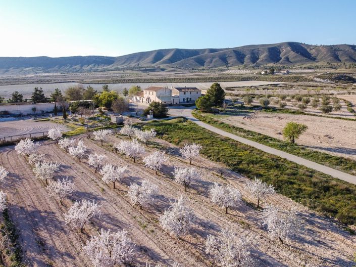 Image No.3-Maison de campagne de 6 chambres à vendre à Jumilla
