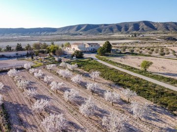 3974countryhousewith33hectaresofland030326132