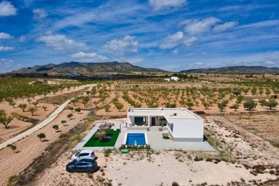 3975beautiful3bed2bathvillanearpinoso03032616