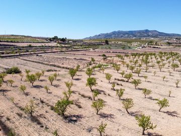 398122916m2buildingplotinpinoso170326172602cf