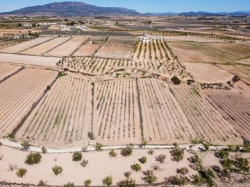 398122916m2buildingplotinpinoso170326172602cf