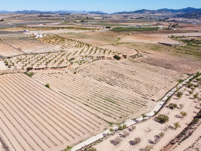 Image No.3-Terre à vendre à Pinoso