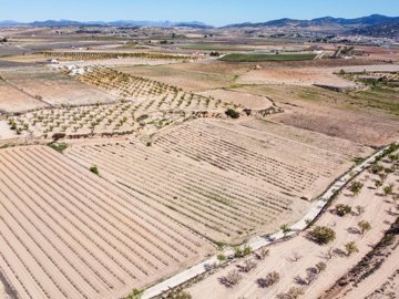 398122916m2buildingplotinpinoso170326172603cf