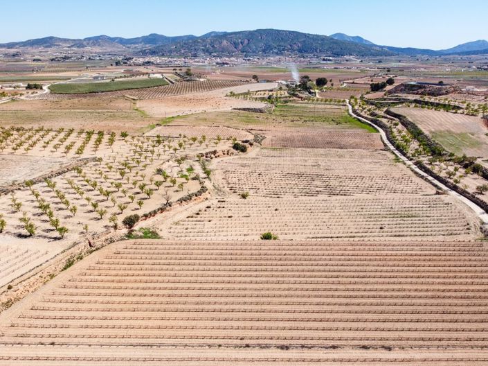 Image No.4-Terre à vendre à Pinoso