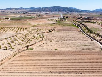 398122916m2buildingplotinpinoso170326172602cf