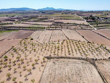 398122916m2buildingplotinpinoso170326172602cf