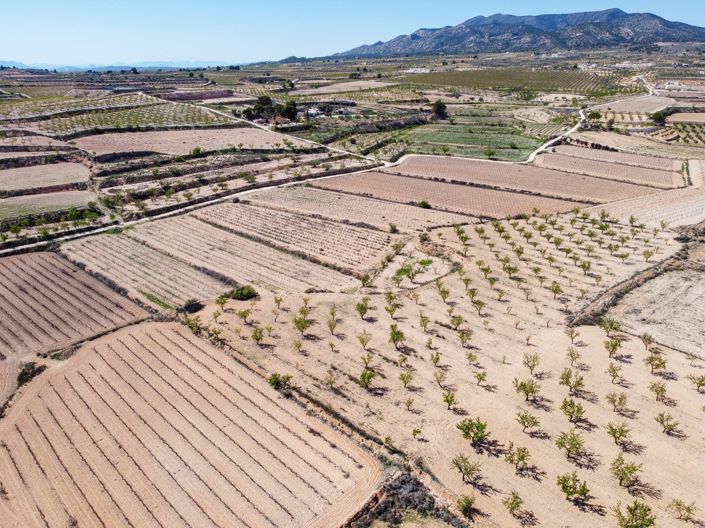 Image No.7-Terre à vendre à Pinoso