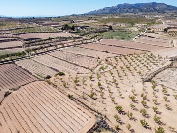 398122916m2buildingplotinpinoso170326172602cf