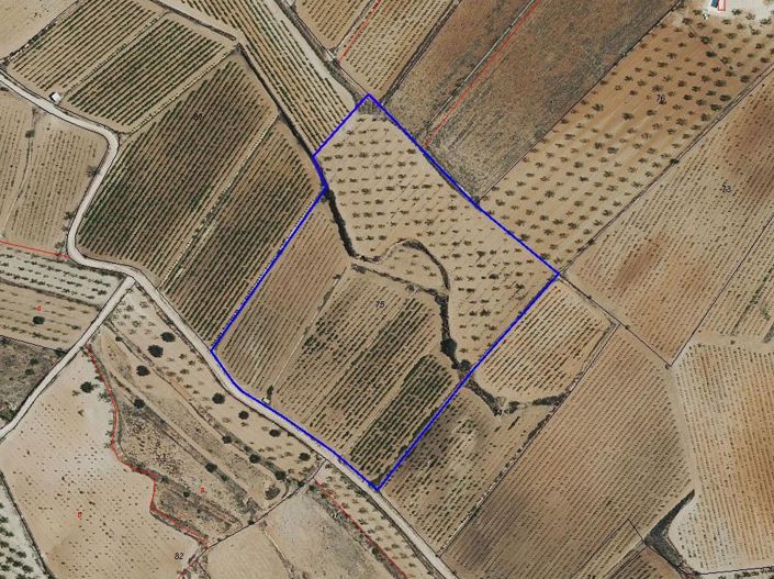 Image No.8-Terre à vendre à Pinoso