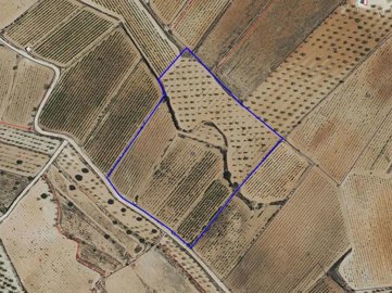 398122916m2buildingplotinpinoso170326190210cf