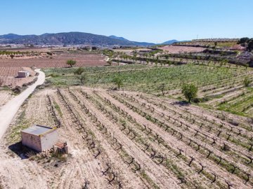 398222089m2buildingplotinpinoso170326173038cf