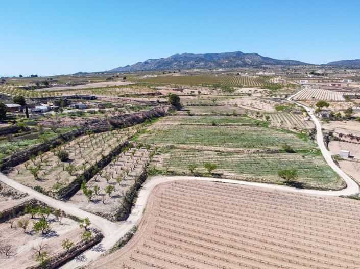 Image No.2-Terre à vendre à Pinoso