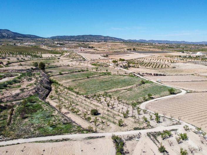 Image No.3-Terre à vendre à Pinoso