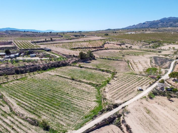 Image No.4-Terre à vendre à Pinoso