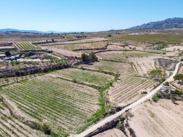 398222089m2buildingplotinpinoso170326173039cf