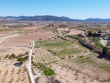 398222089m2buildingplotinpinoso170326173038cf