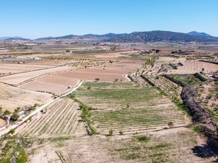 Image No.6-Terre à vendre à Pinoso