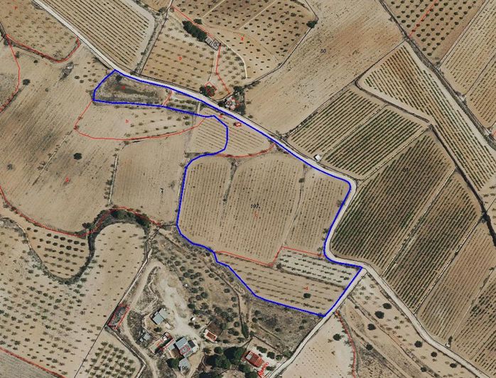 Image No.7-Terre à vendre à Pinoso