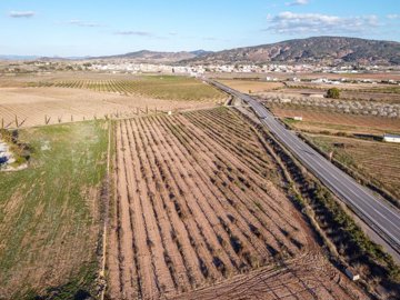 398012695m2buildingplotinpinoso170326172041cf