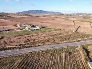 398012695m2buildingplotinpinoso170326172041cf