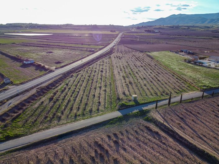 Image No.4-Terre à vendre à Pinoso