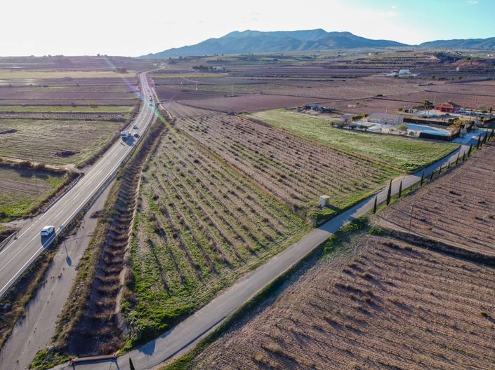 Image No.5-Terre à vendre à Pinoso