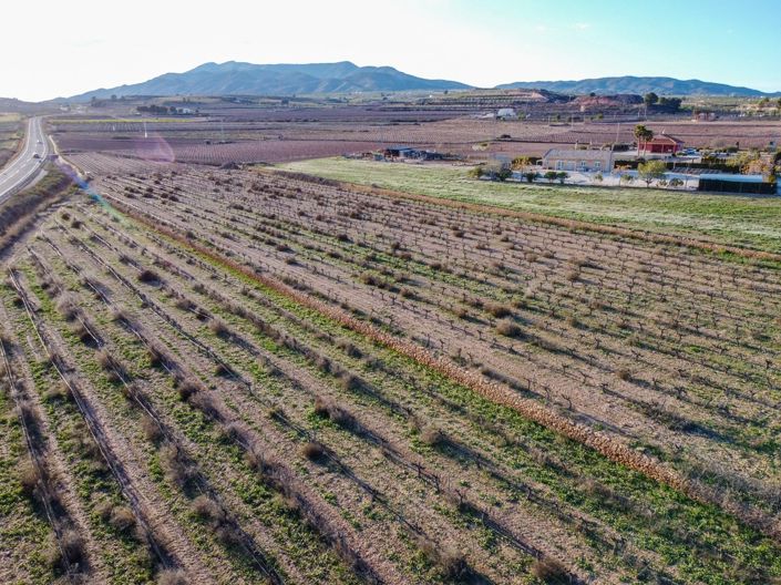 Image No.6-Terre à vendre à Pinoso