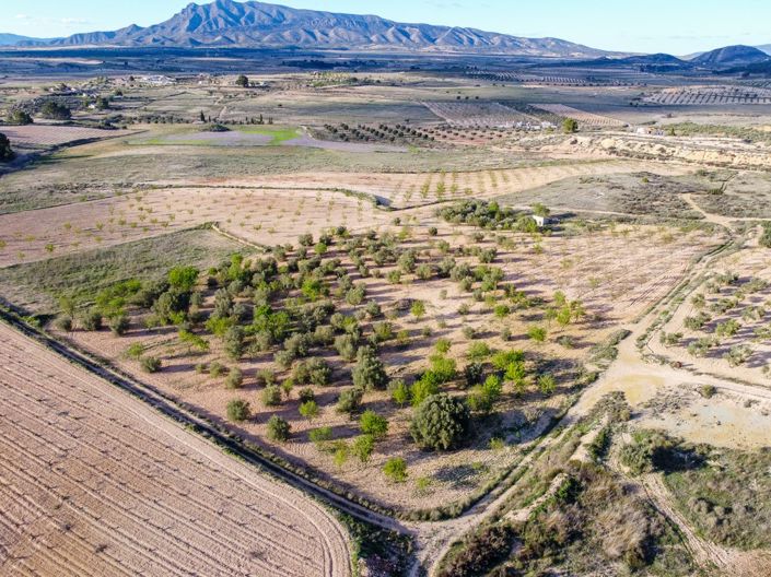 Image No.2-Terre à vendre à Canada Del Trigo