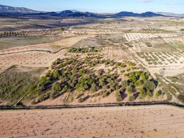 3977buildingplotincanadadeltrigo170326153643c