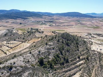 3970huge109000m2buildingplotnearpinoso1703261